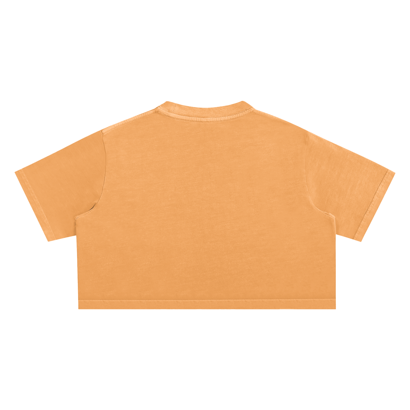 Canis AP - Womens Snow Washed Crop Top